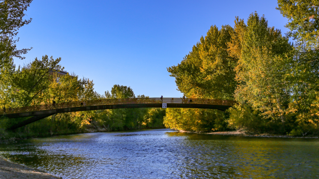 Boise River front