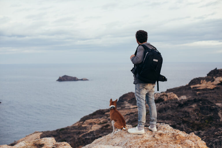 Solo Traveller